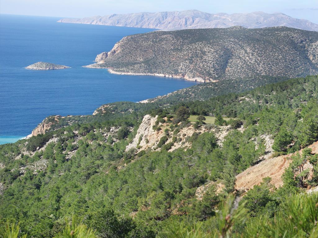 Thomas Hotel Μονόλιθος Εξωτερικό φωτογραφία